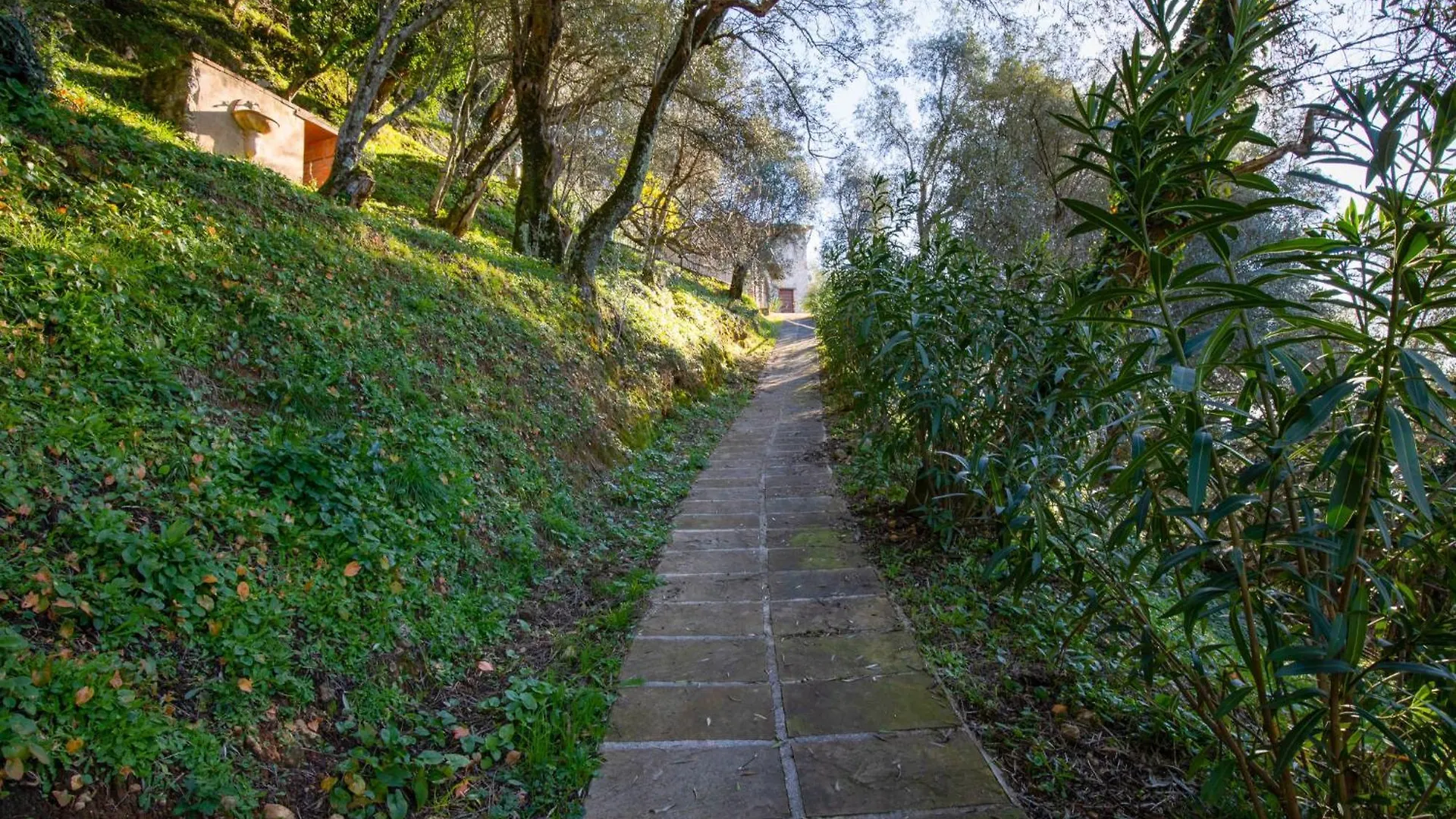 Villa Al Pozzo By Interhome Santa Lucia   Santa Lucia (Lucca)